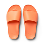 ARCHIES SLIDES